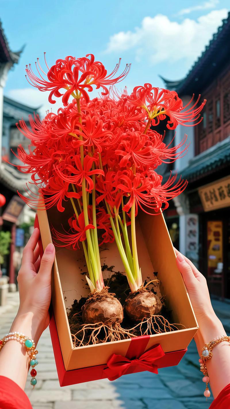 盆栽花卉