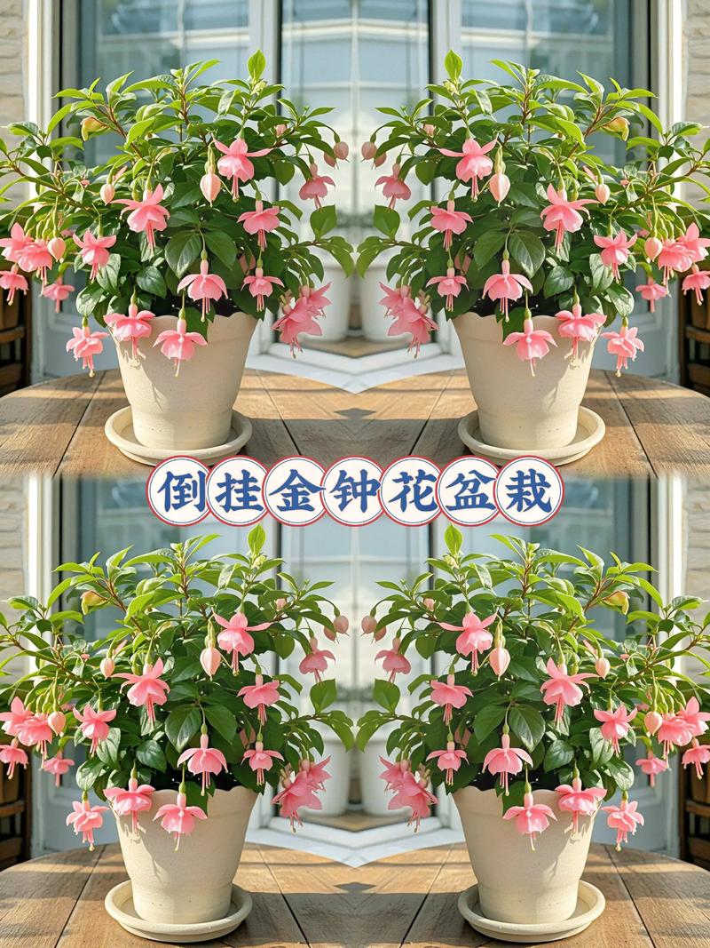 青州花卉产业:生机盎然的新时代画卷